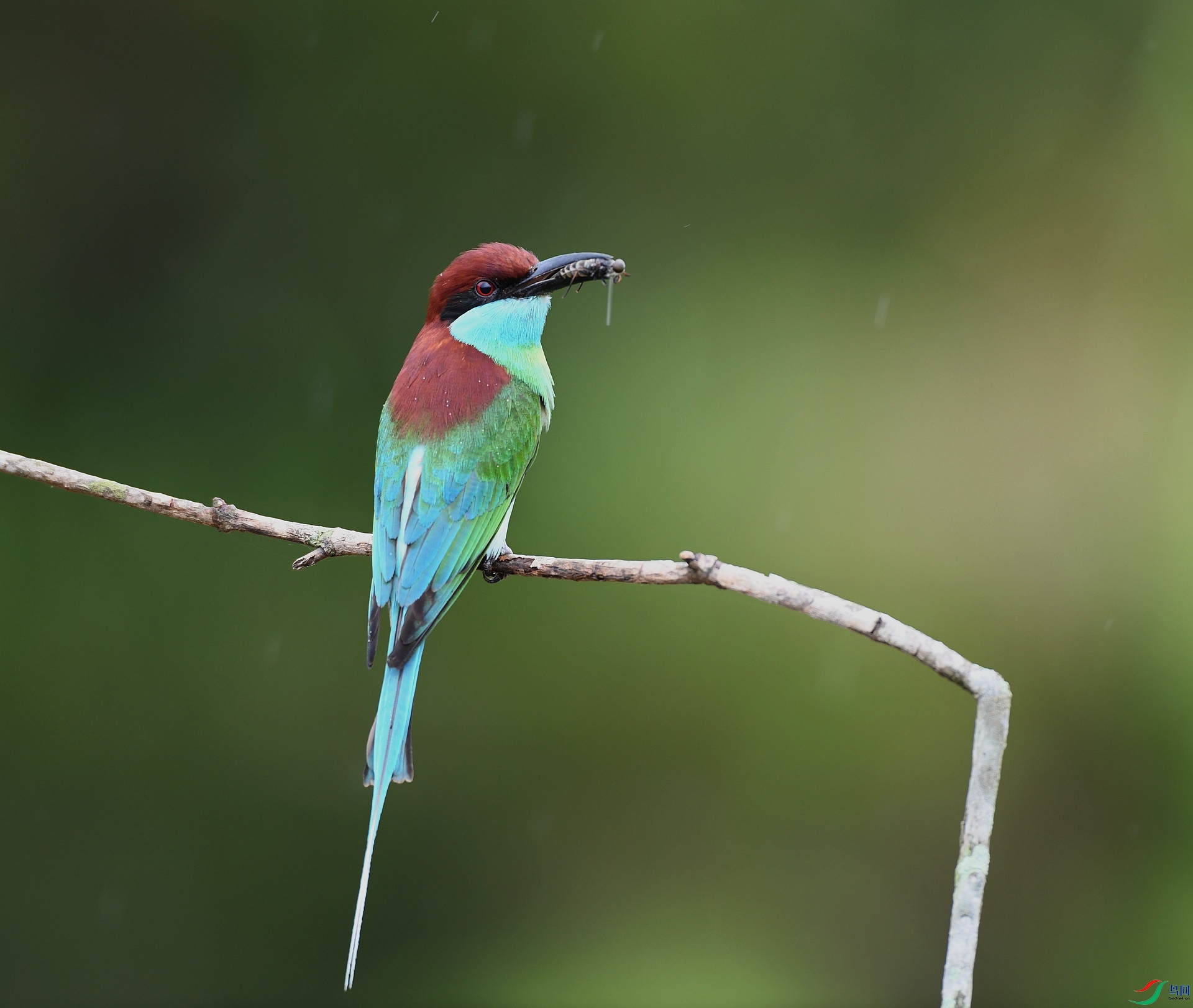 DSC_1537.jpg