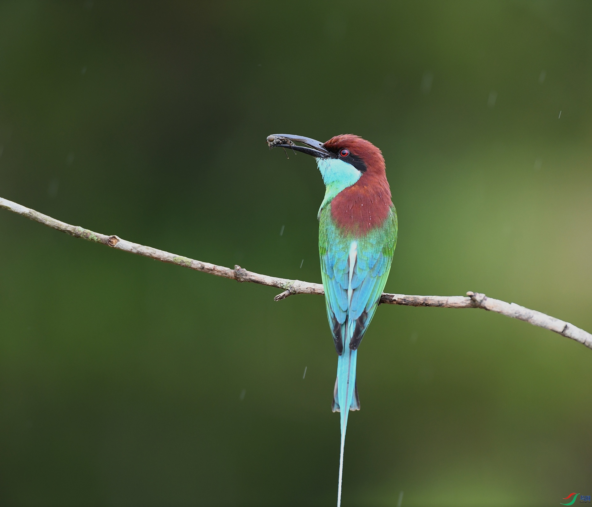 DSC_1543.jpg