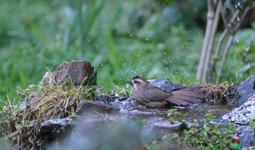 DSCF7952.1.jpg