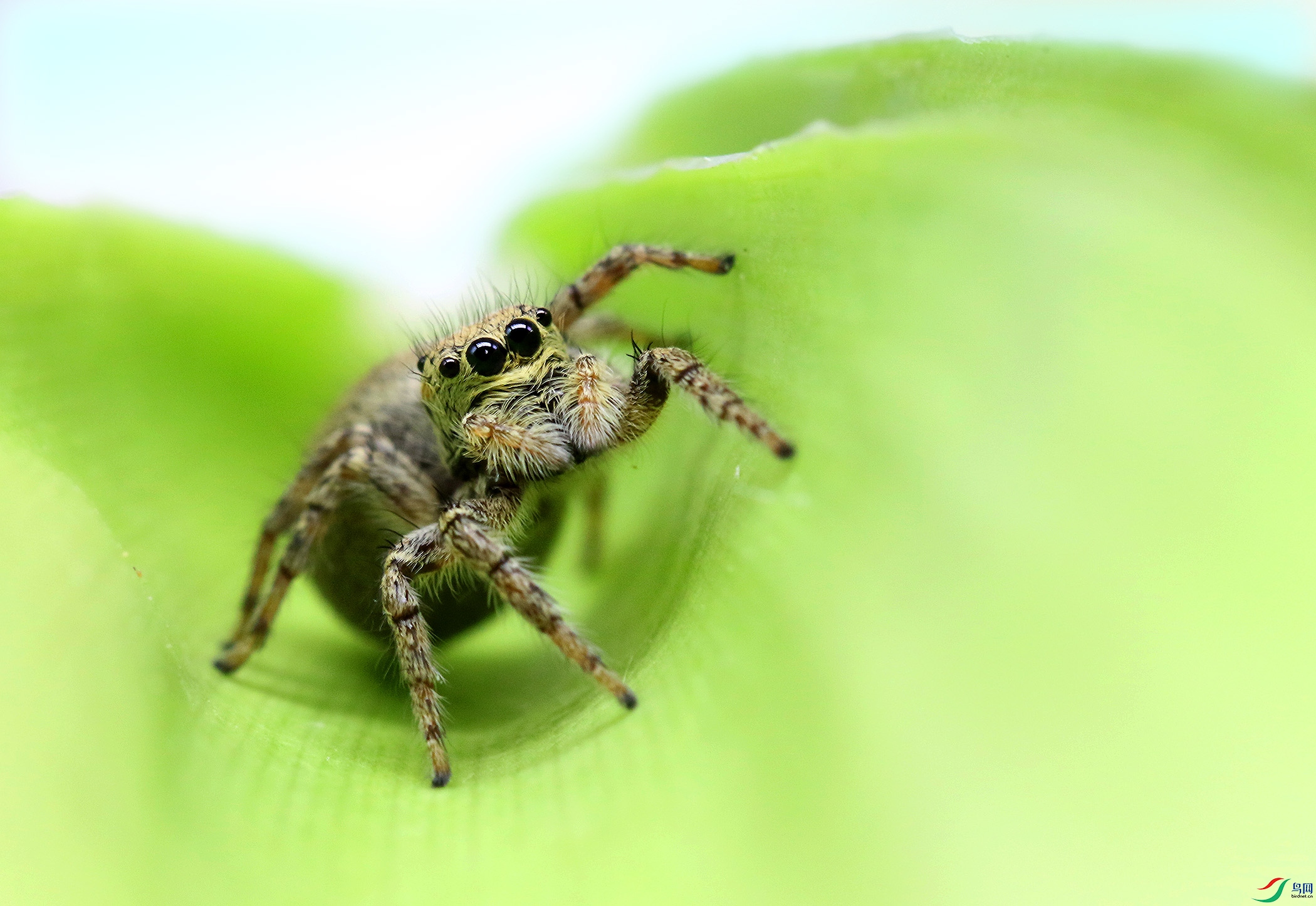 0N2A7766 ����.jpg