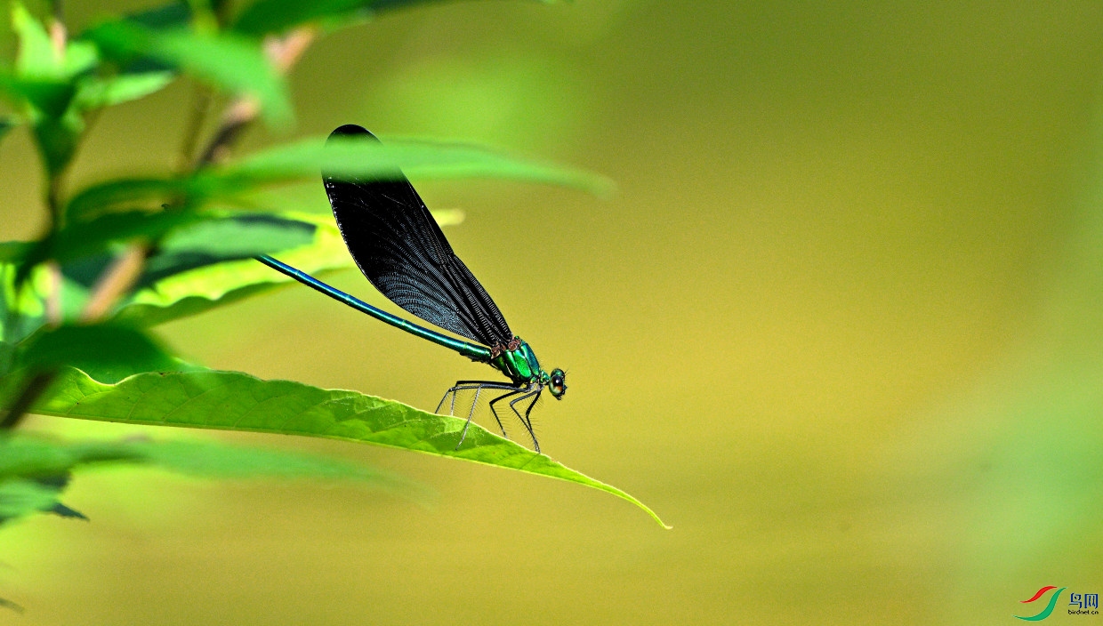 DSC_7148-20260708_090706_DSC_7148_2137DSC_7148-20260708_090706_DSC_7148.JPG