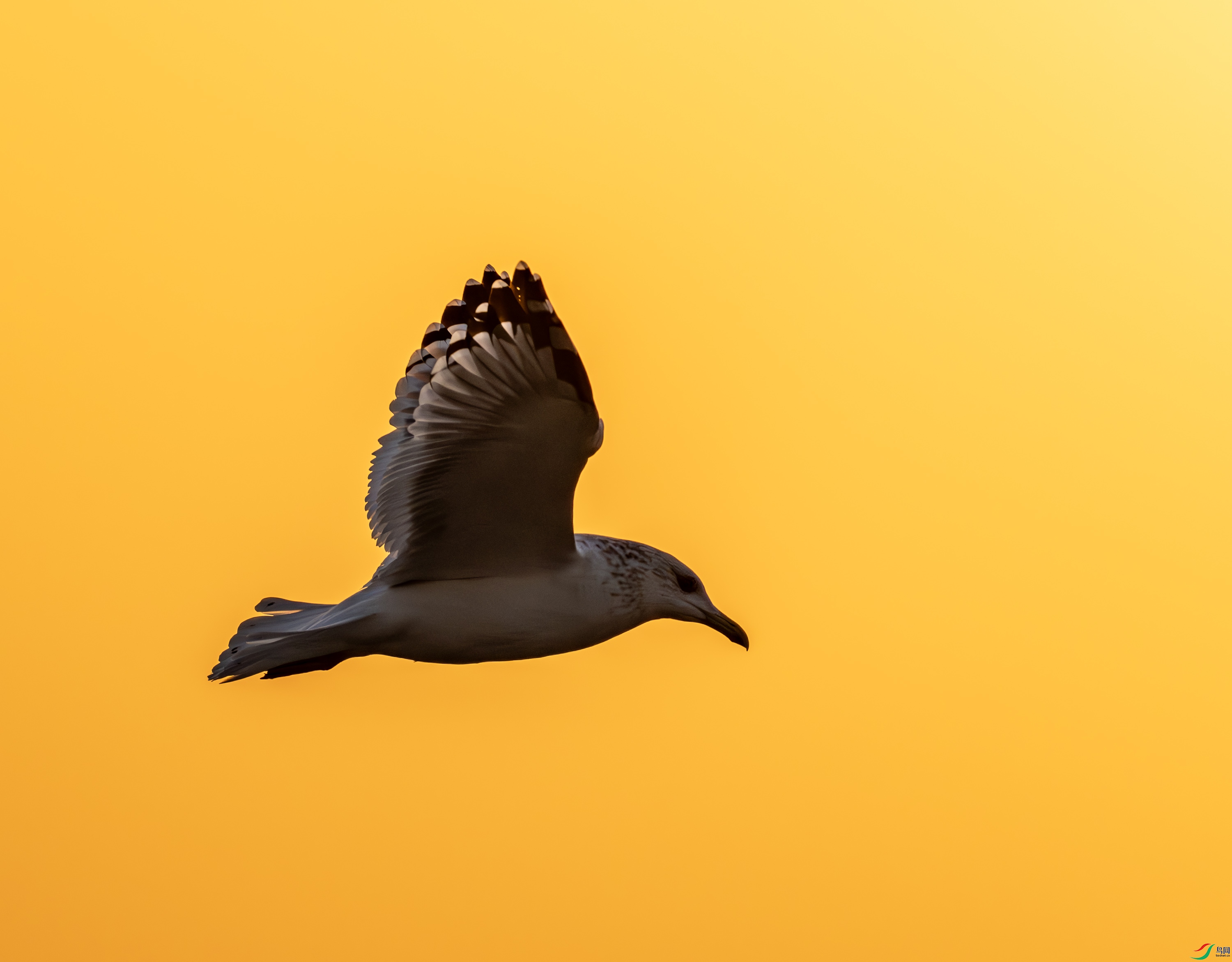 ����������Ÿ-03-38.jpg