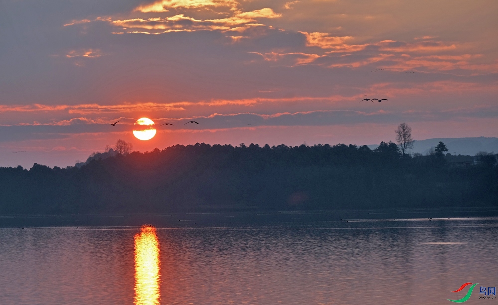 DSCF2391.1.jpg