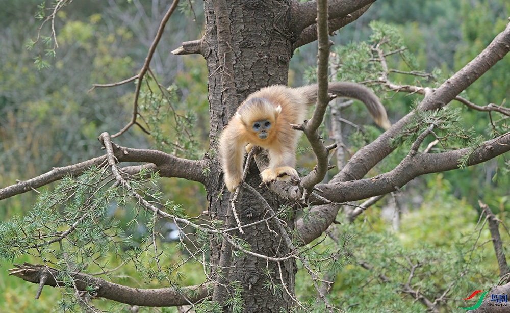 DSCF2078.1.jpg