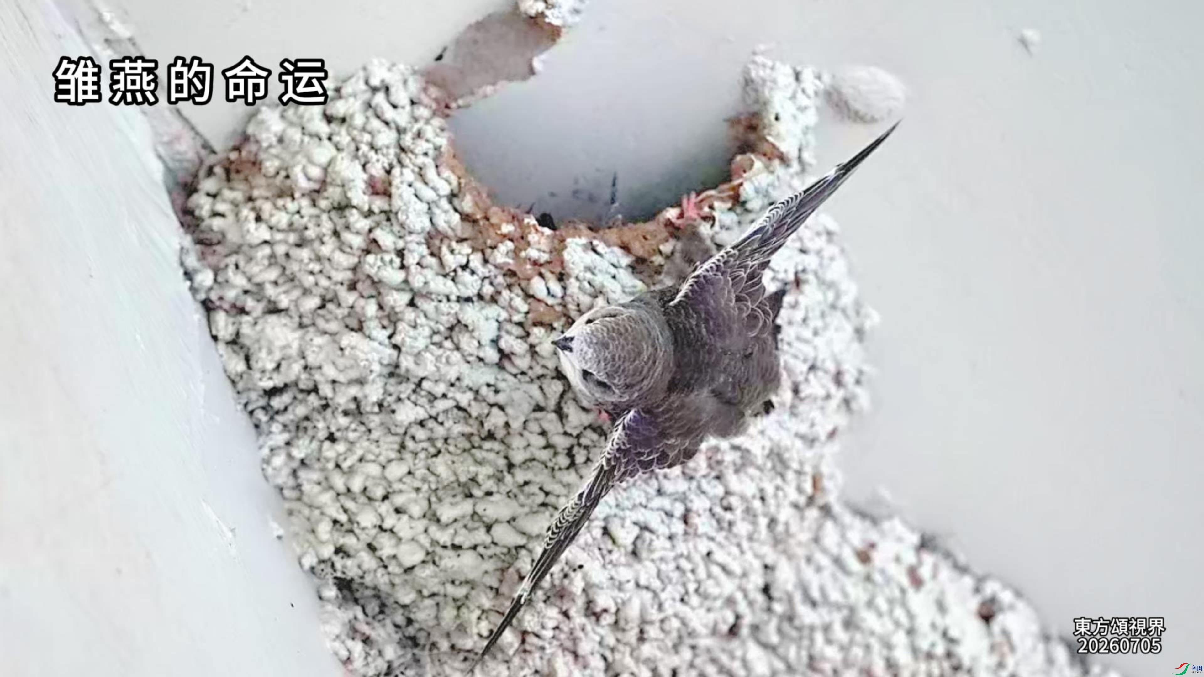 7��7�ճ��������-����.jpg