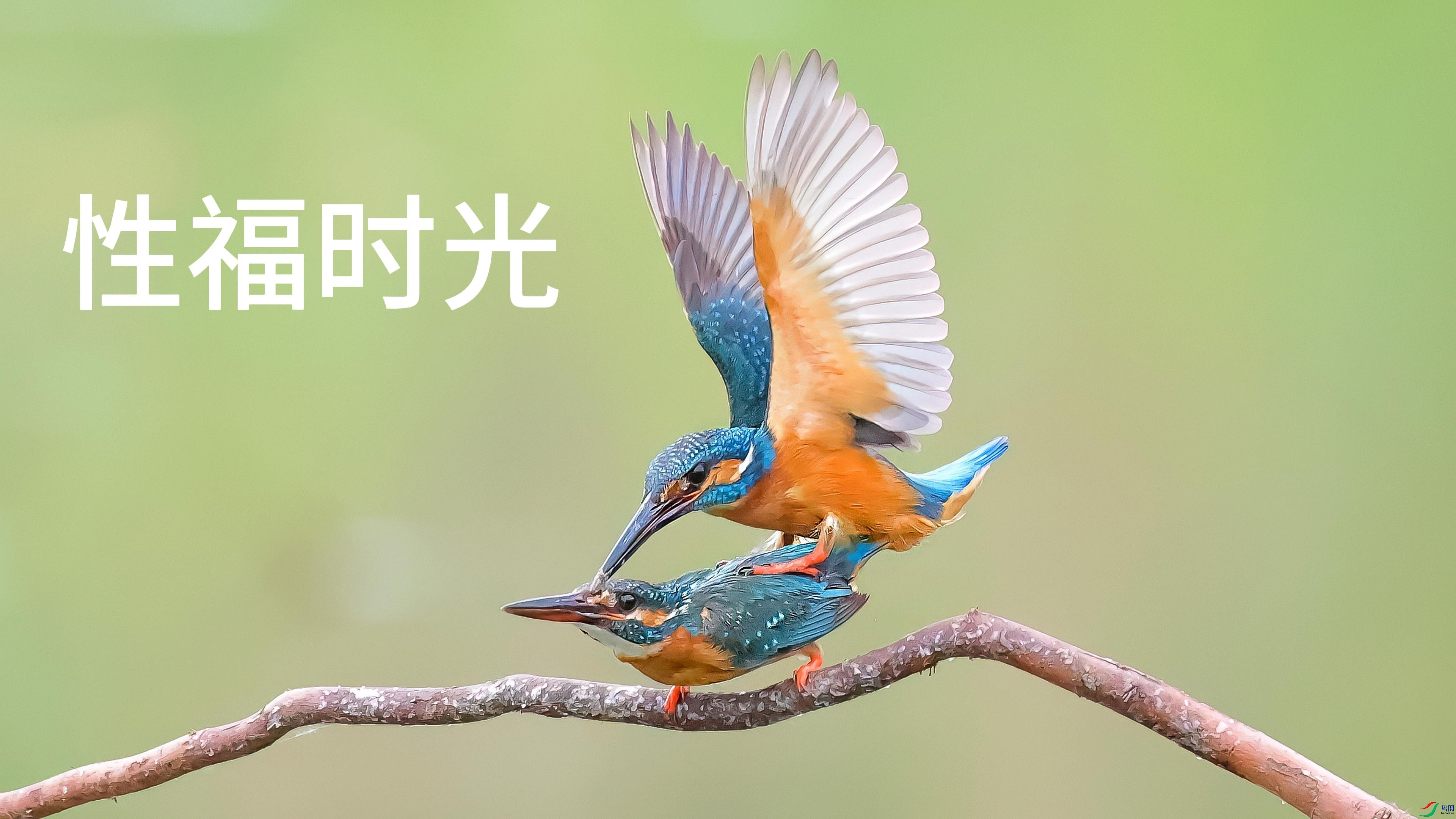7��12�� (2)-����.jpg
