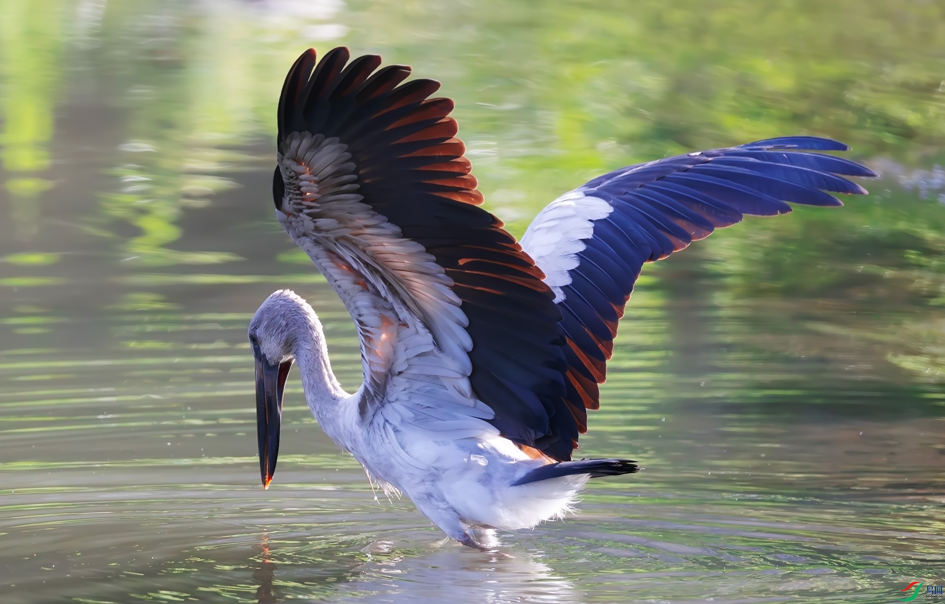 ǯ����