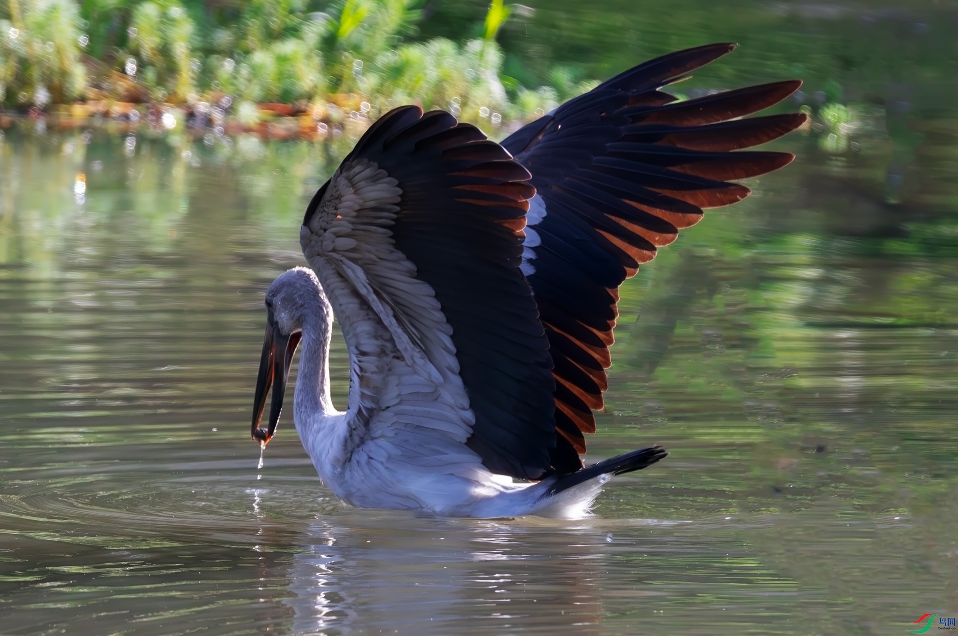 ǯ����