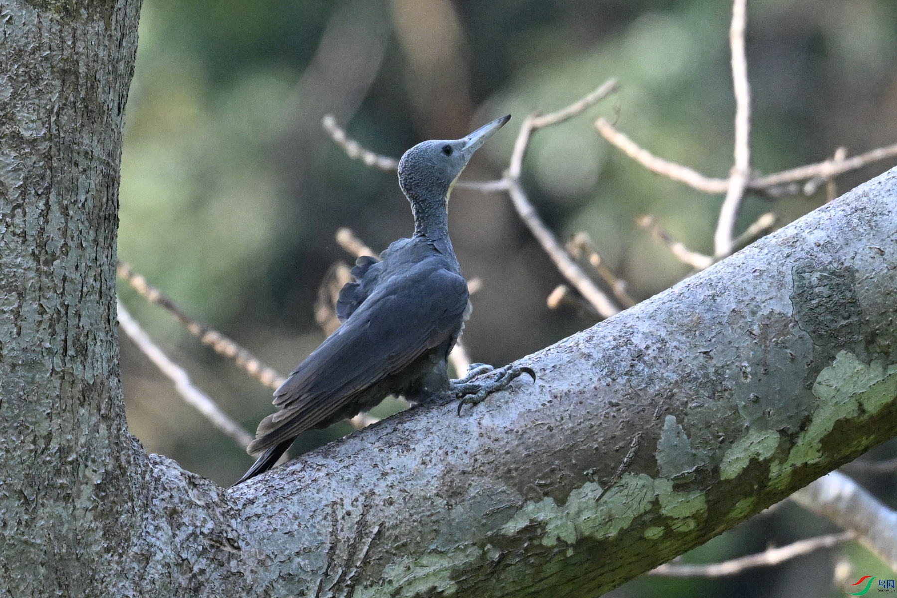 DSC_5312.JPG