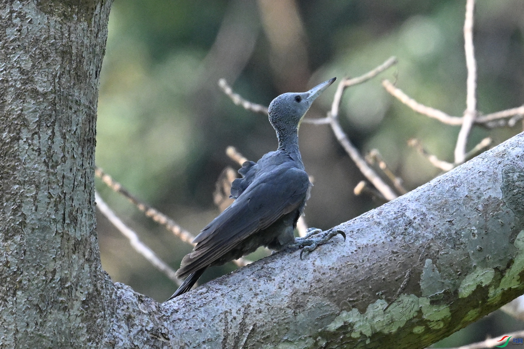 DSC_5313.JPG