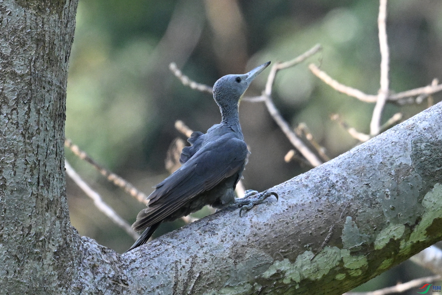 DSC_5314.JPG