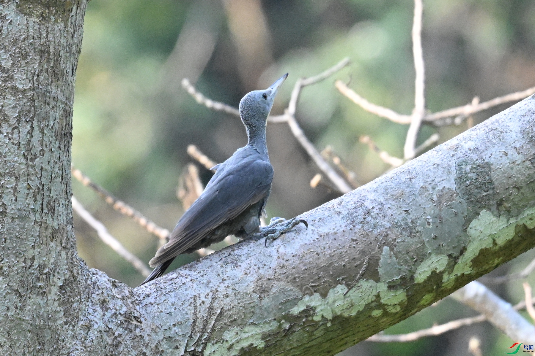 DSC_5315.JPG