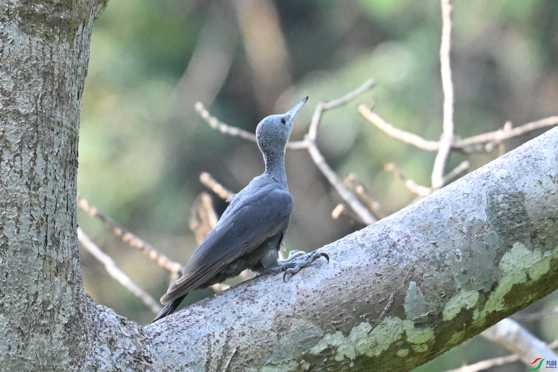 DSC_5316.JPG