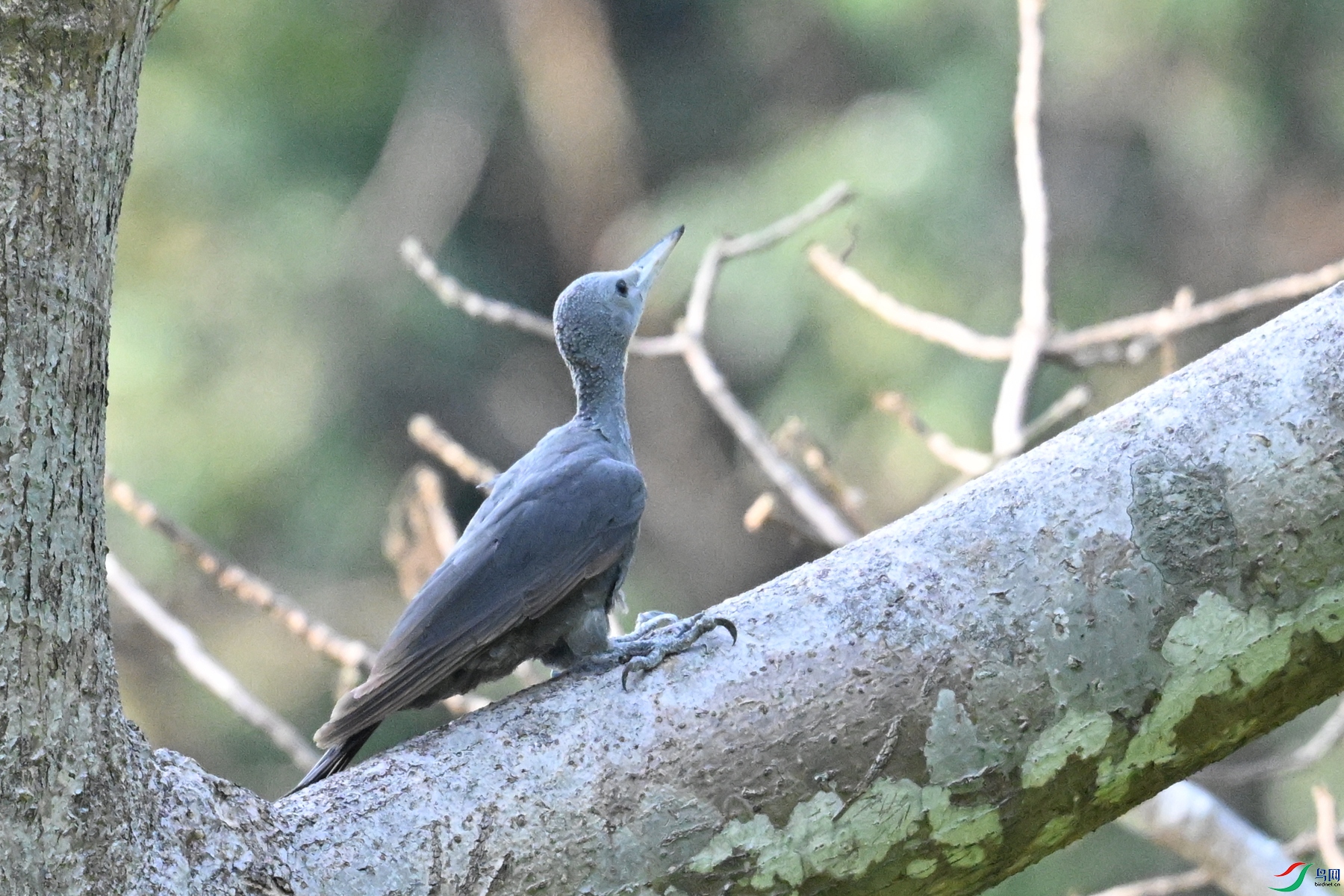 DSC_5318.JPG