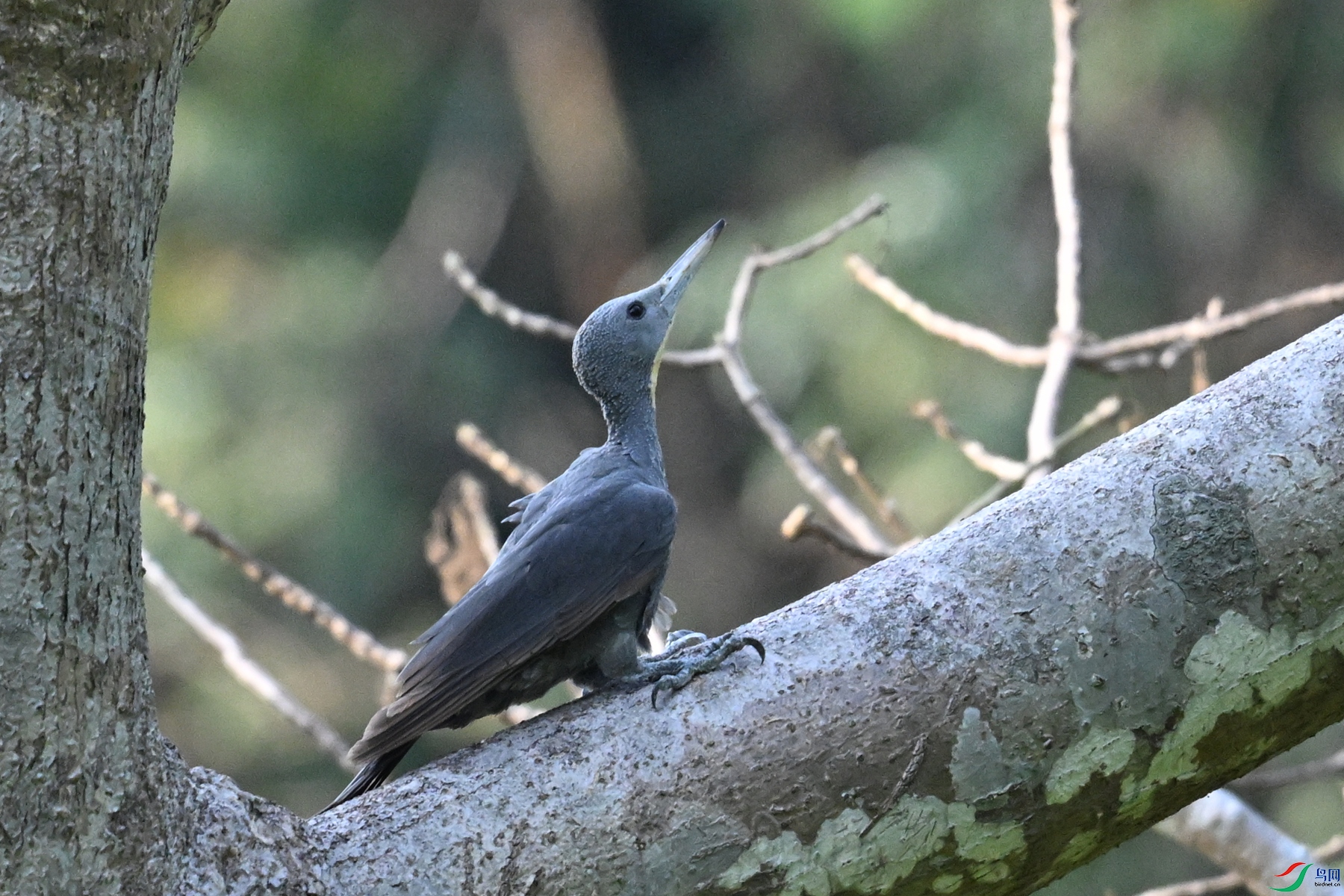 DSC_5319.JPG
