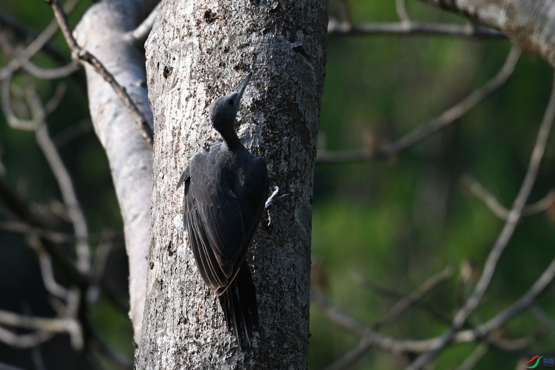 DSC_5345.JPG