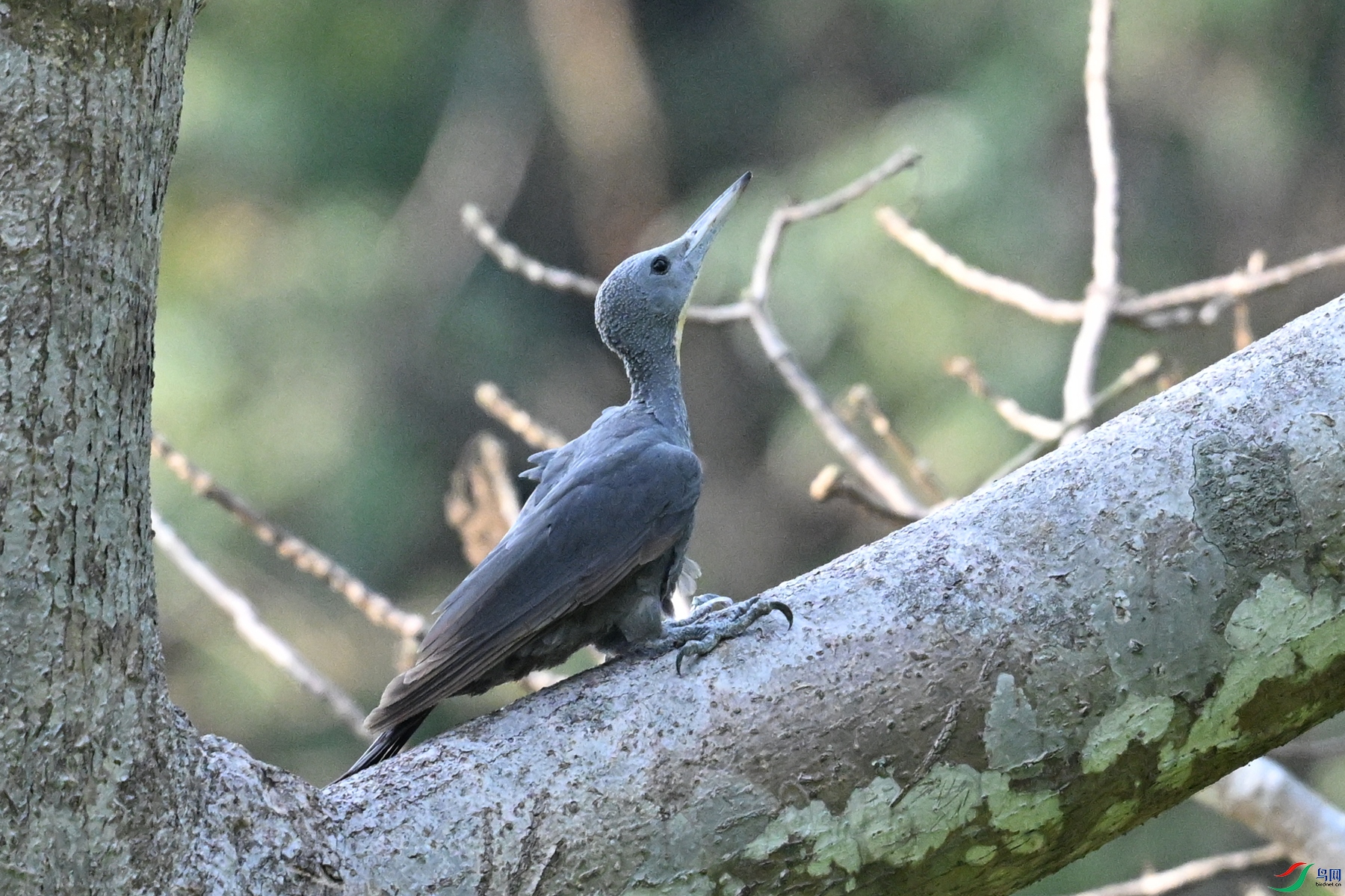 DSC_5320.JPG