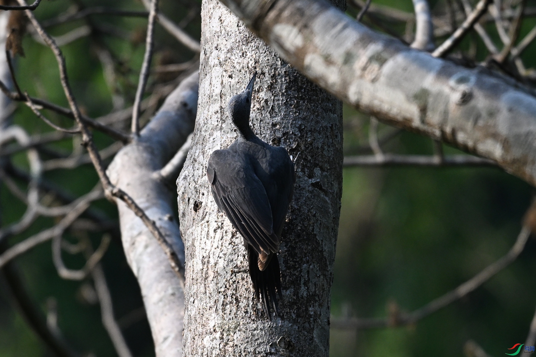 DSC_5348.JPG