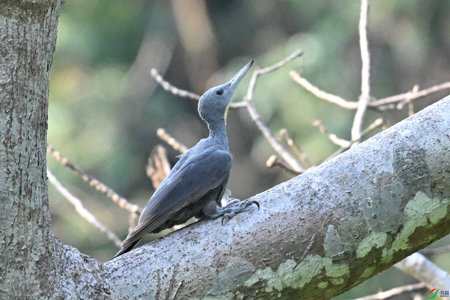 DSC_5322.JPG