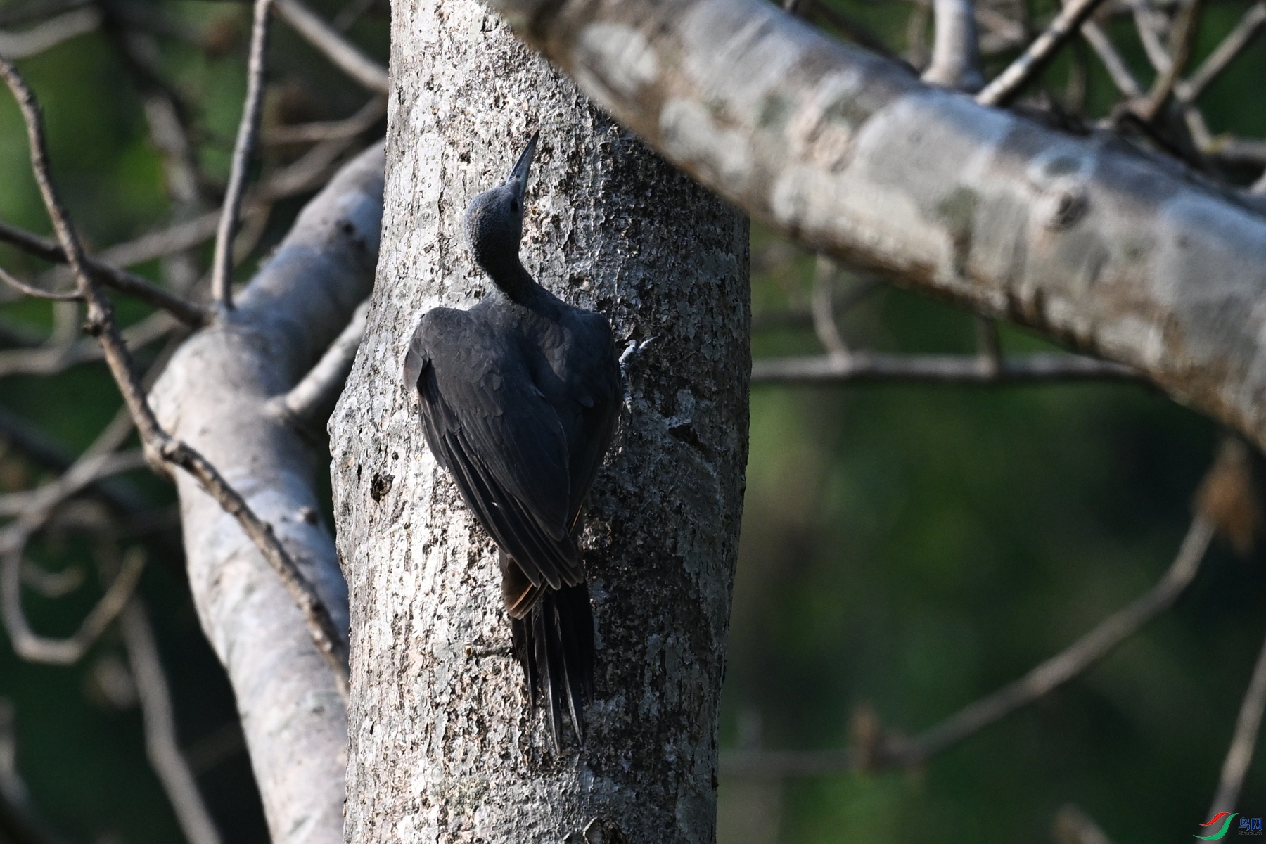 DSC_5350.JPG