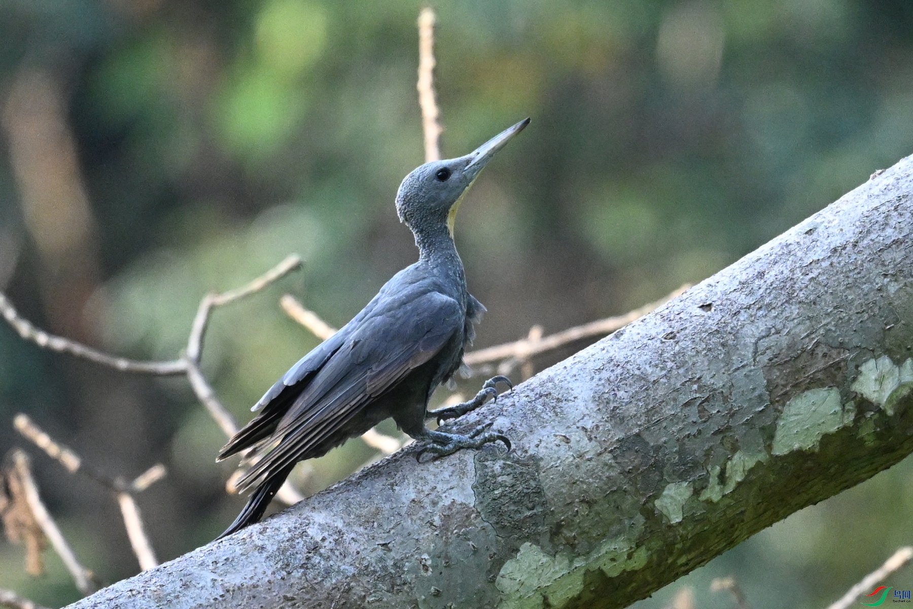 DSC_5324.JPG