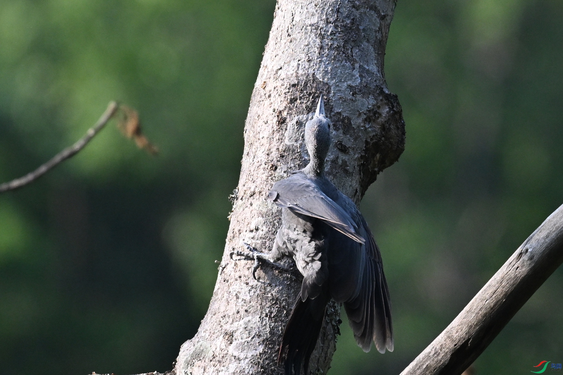 DSC_5352.JPG