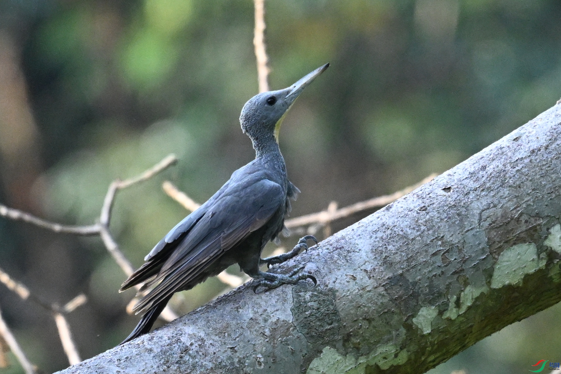 DSC_5325.JPG
