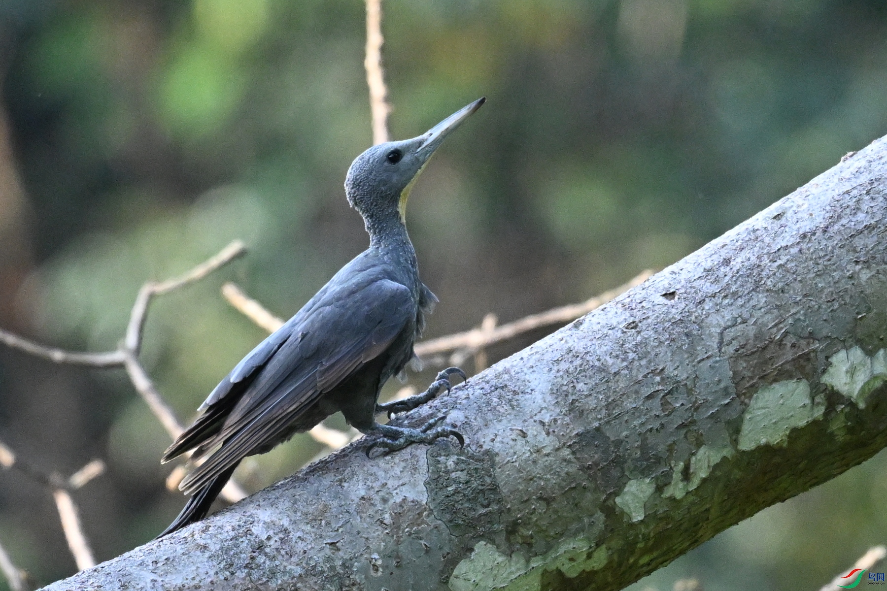 DSC_5326.JPG