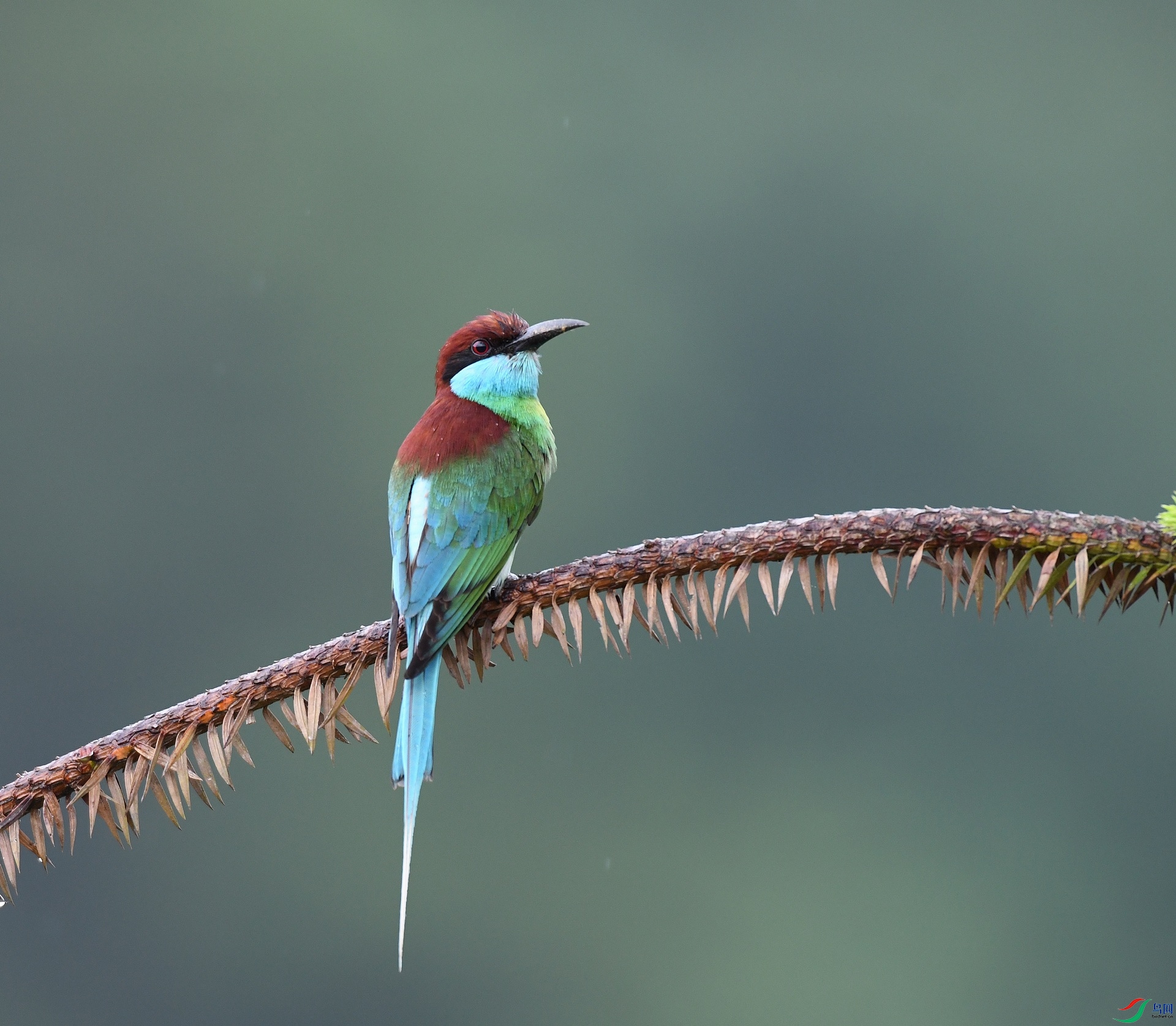 DSC_1357.jpg