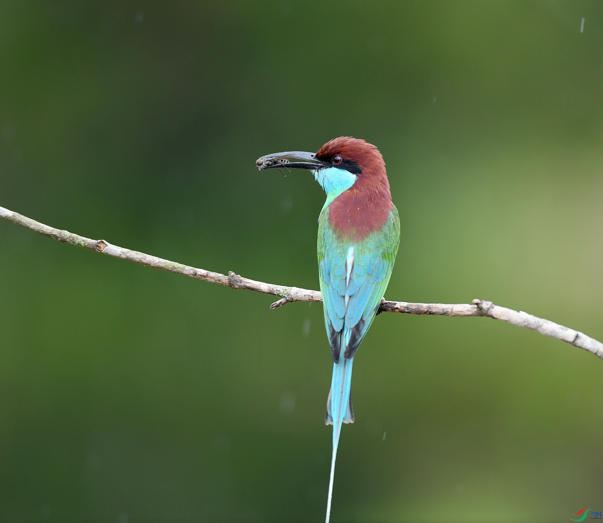 DSC_1527.jpg