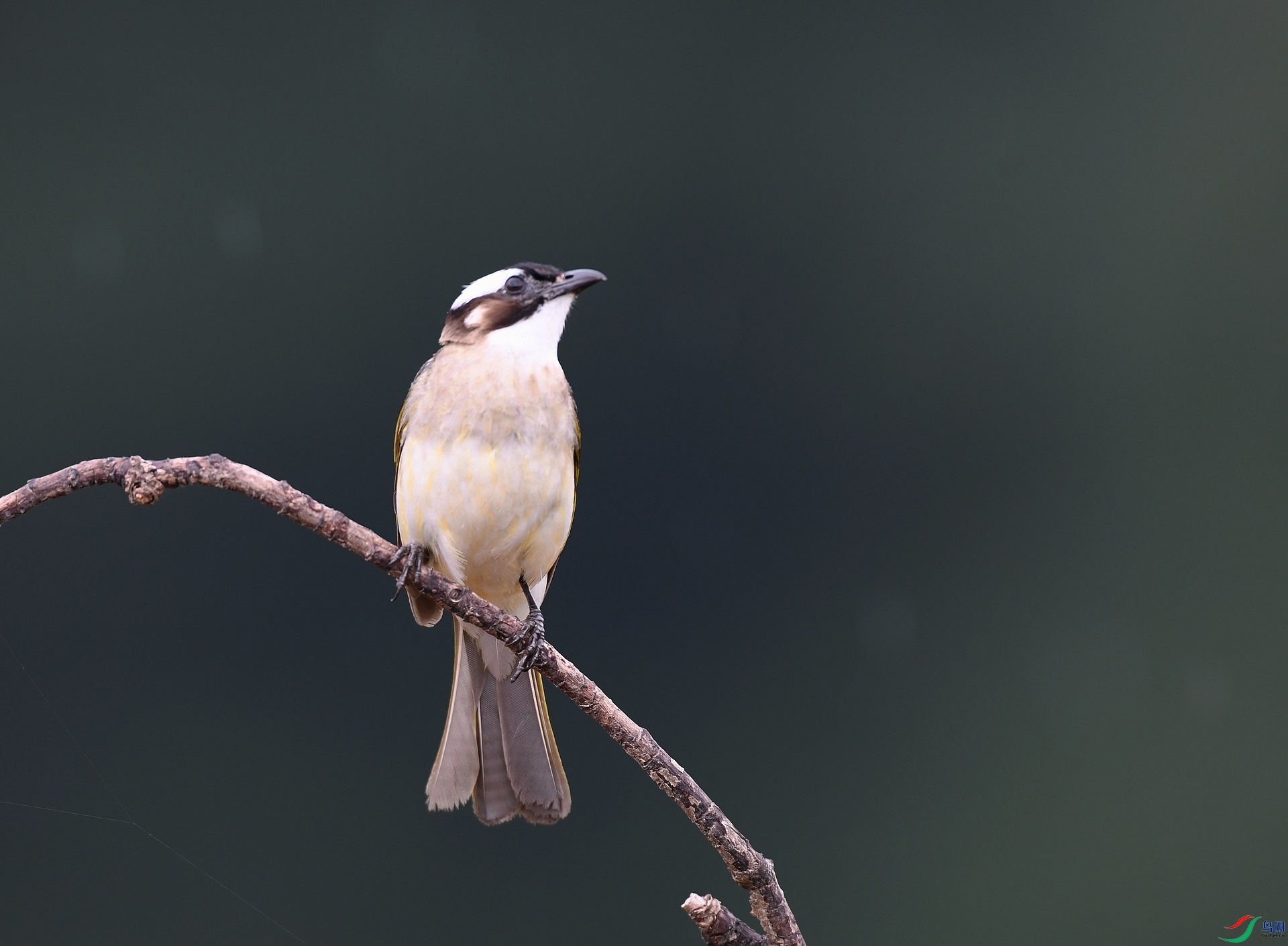 DSC_1812.jpg