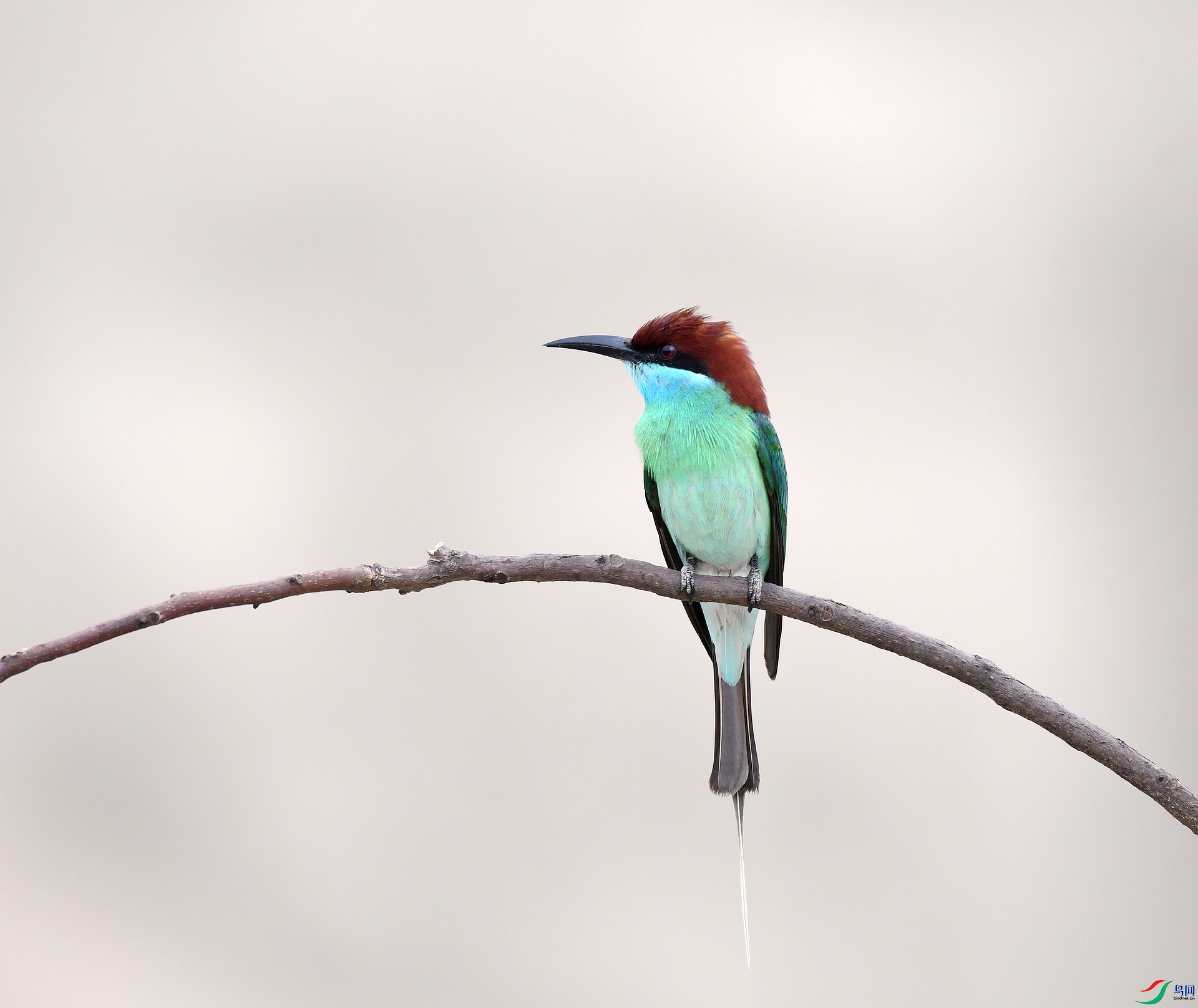 DSC_0878.jpg