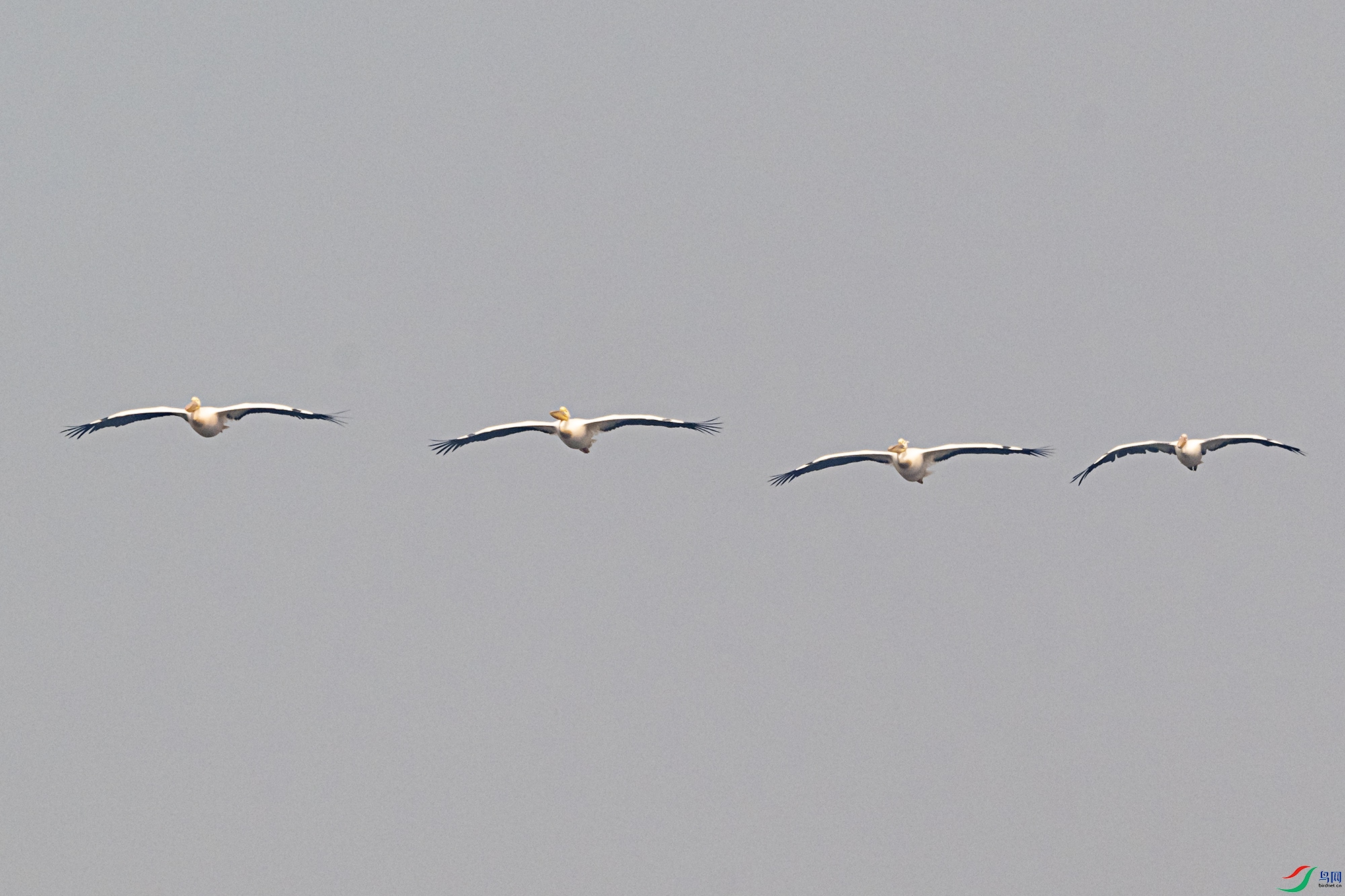 DSC_2481.jpg