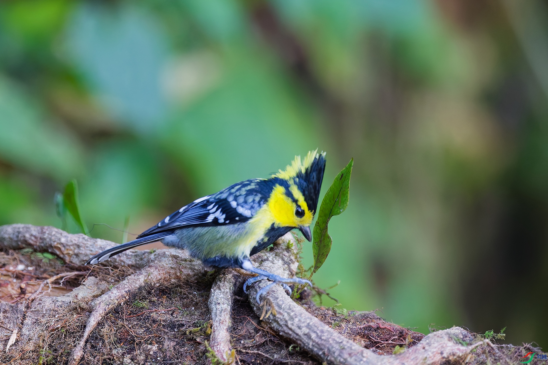 DSC_3391_DxO_DxOa.jpg