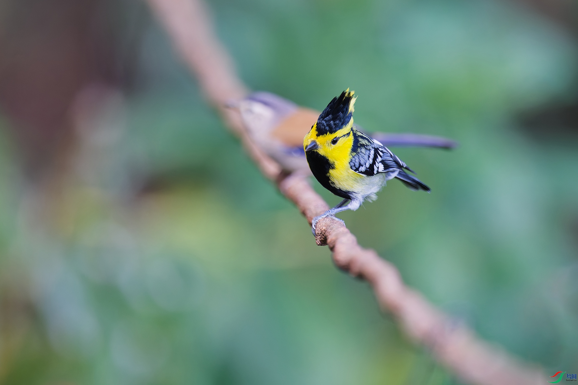 DSC_2937_DxO_DxOa.jpg
