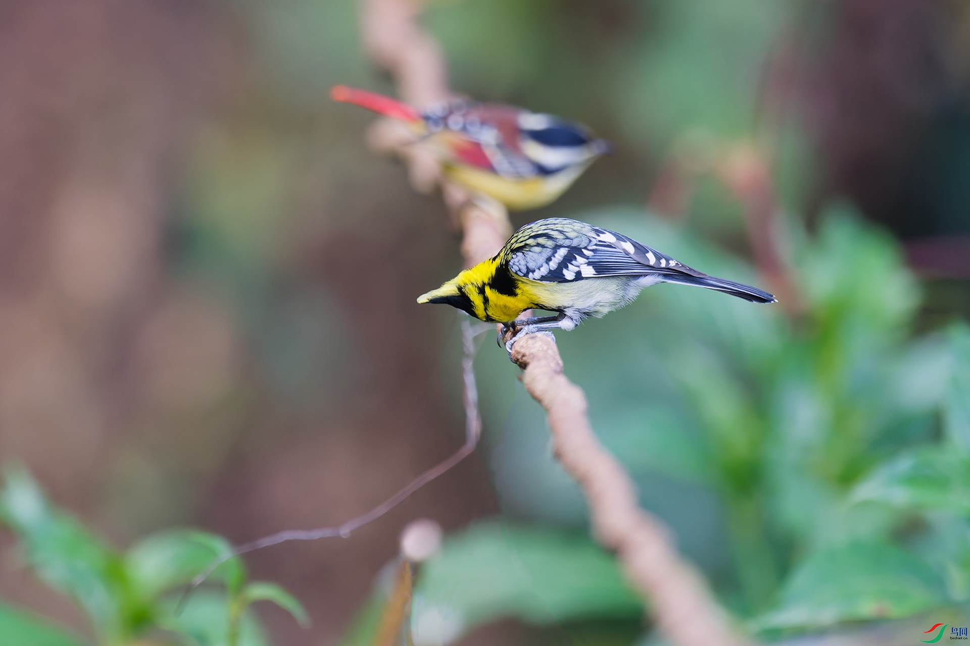 DSC_2919_DxO_DxOa.jpg