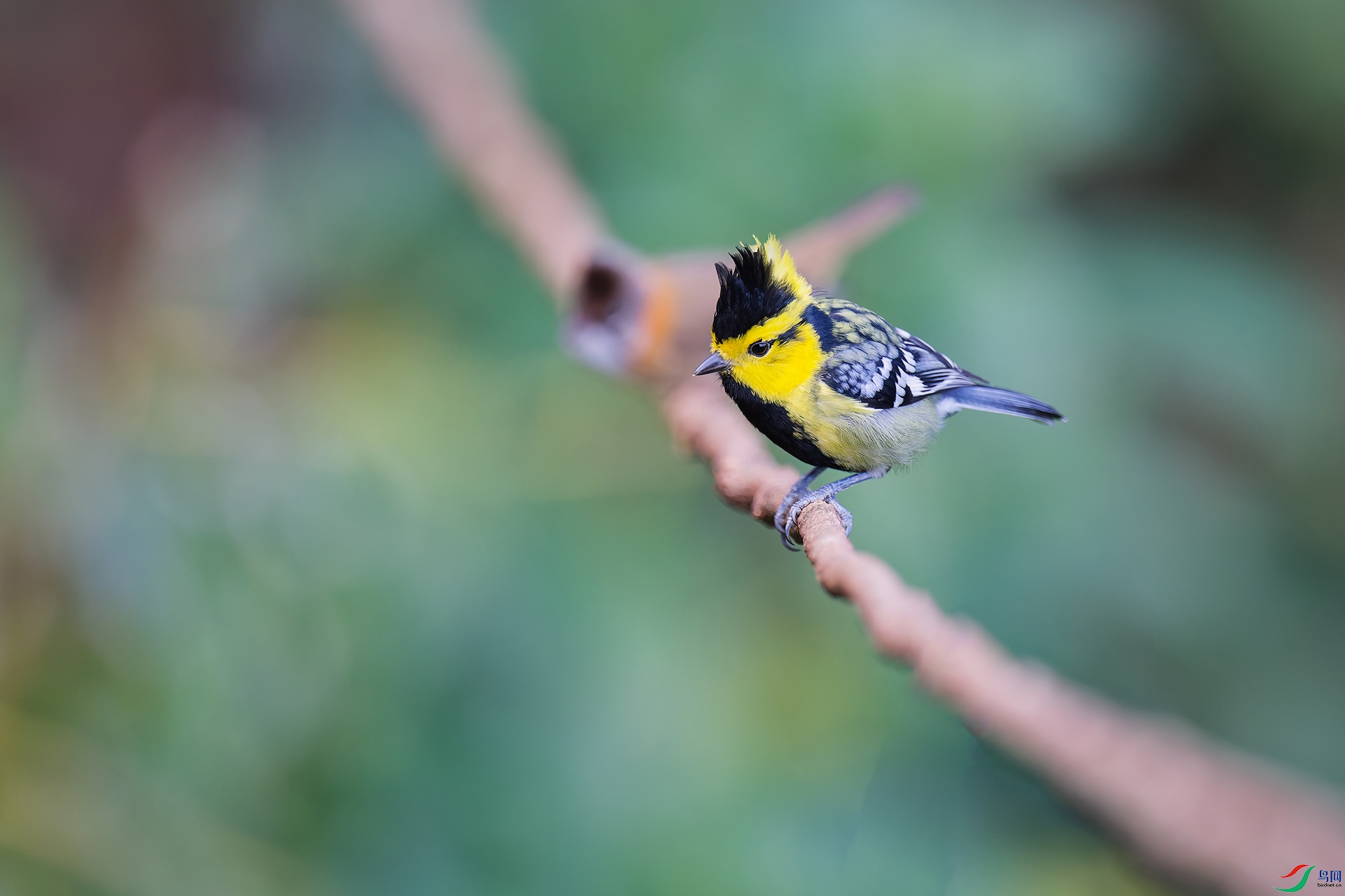 DSC_2906_DxO_DxOa.jpg
