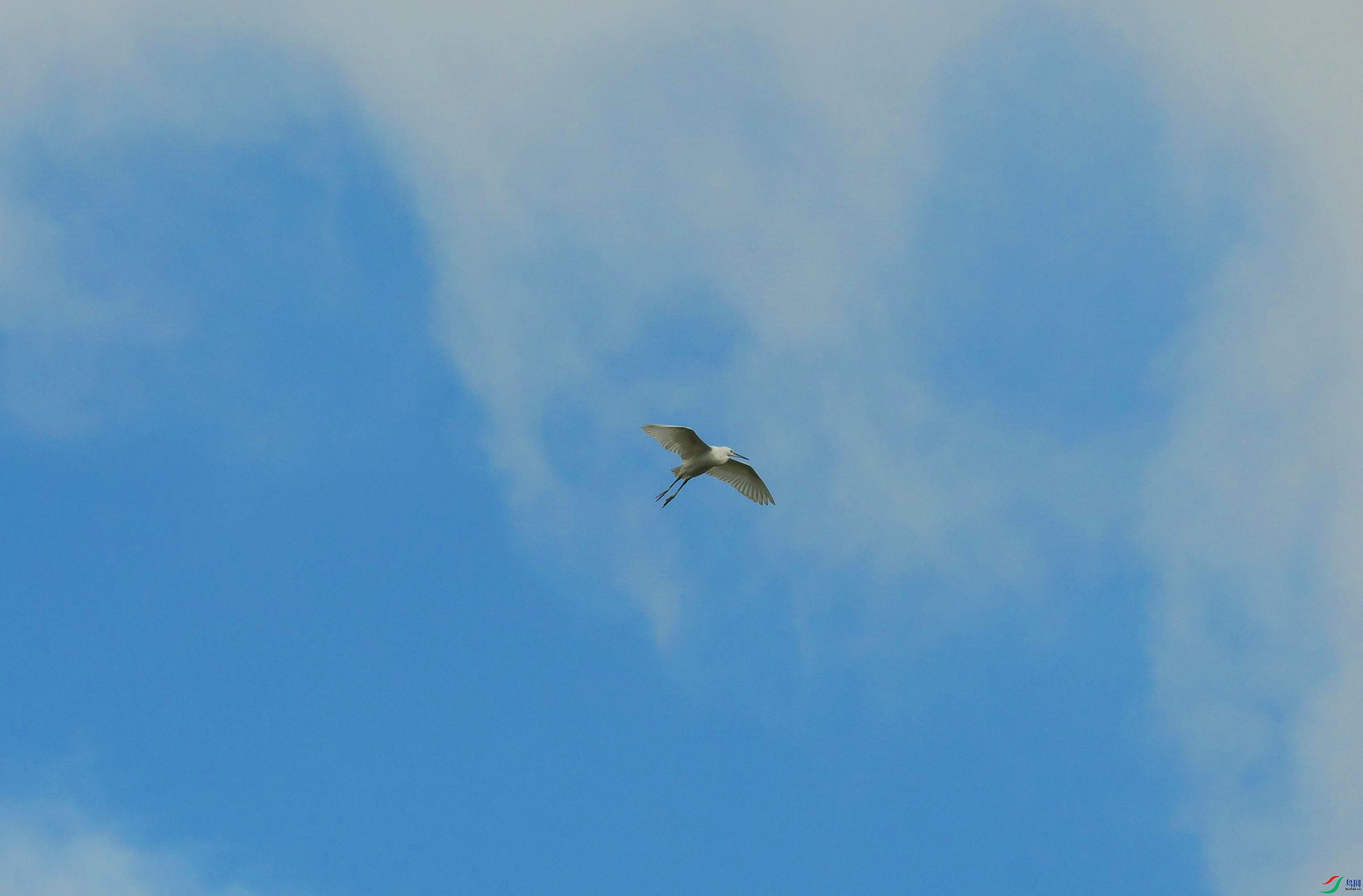 P6260426(1).jpg