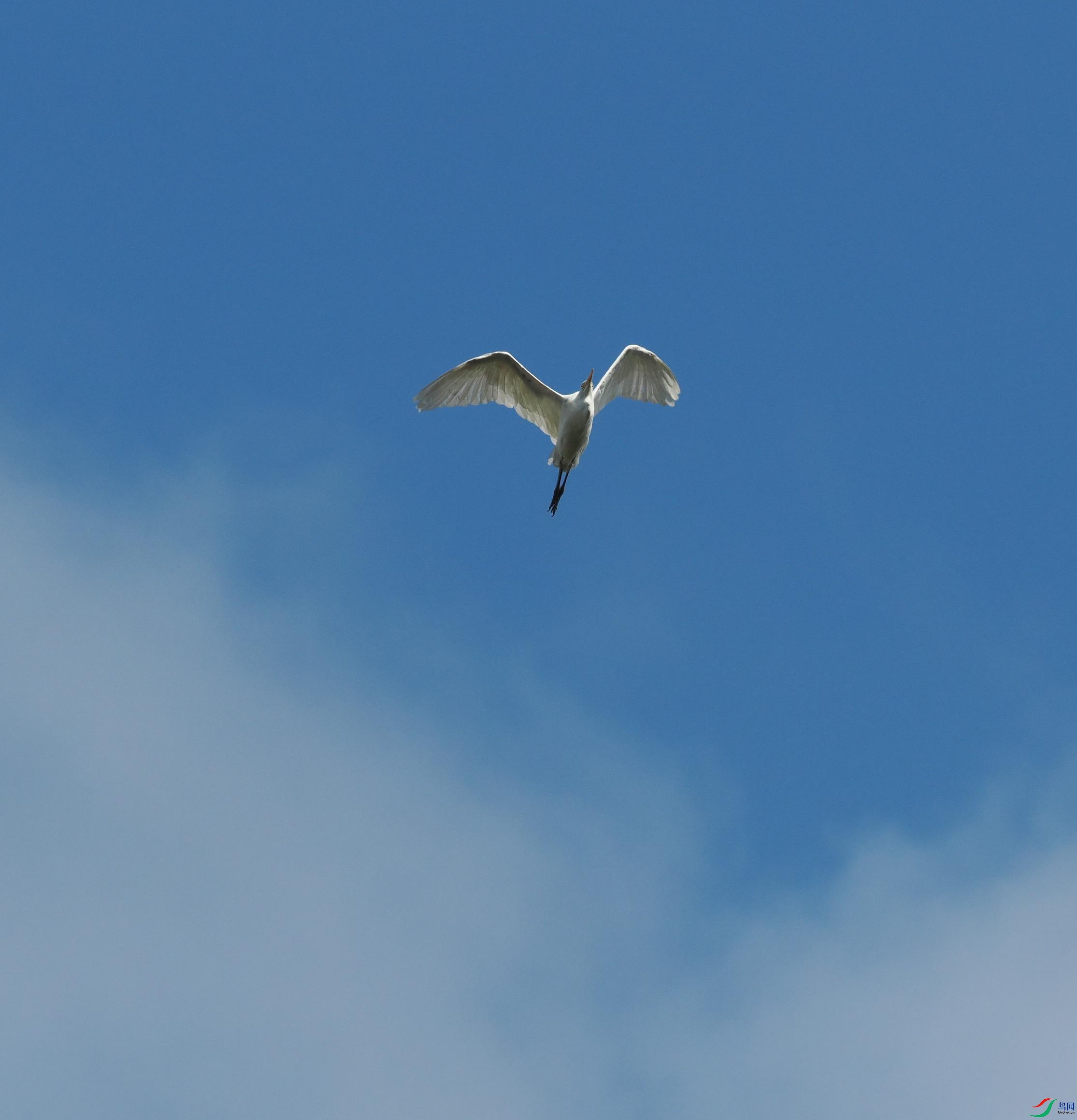 P6260362(1).jpg