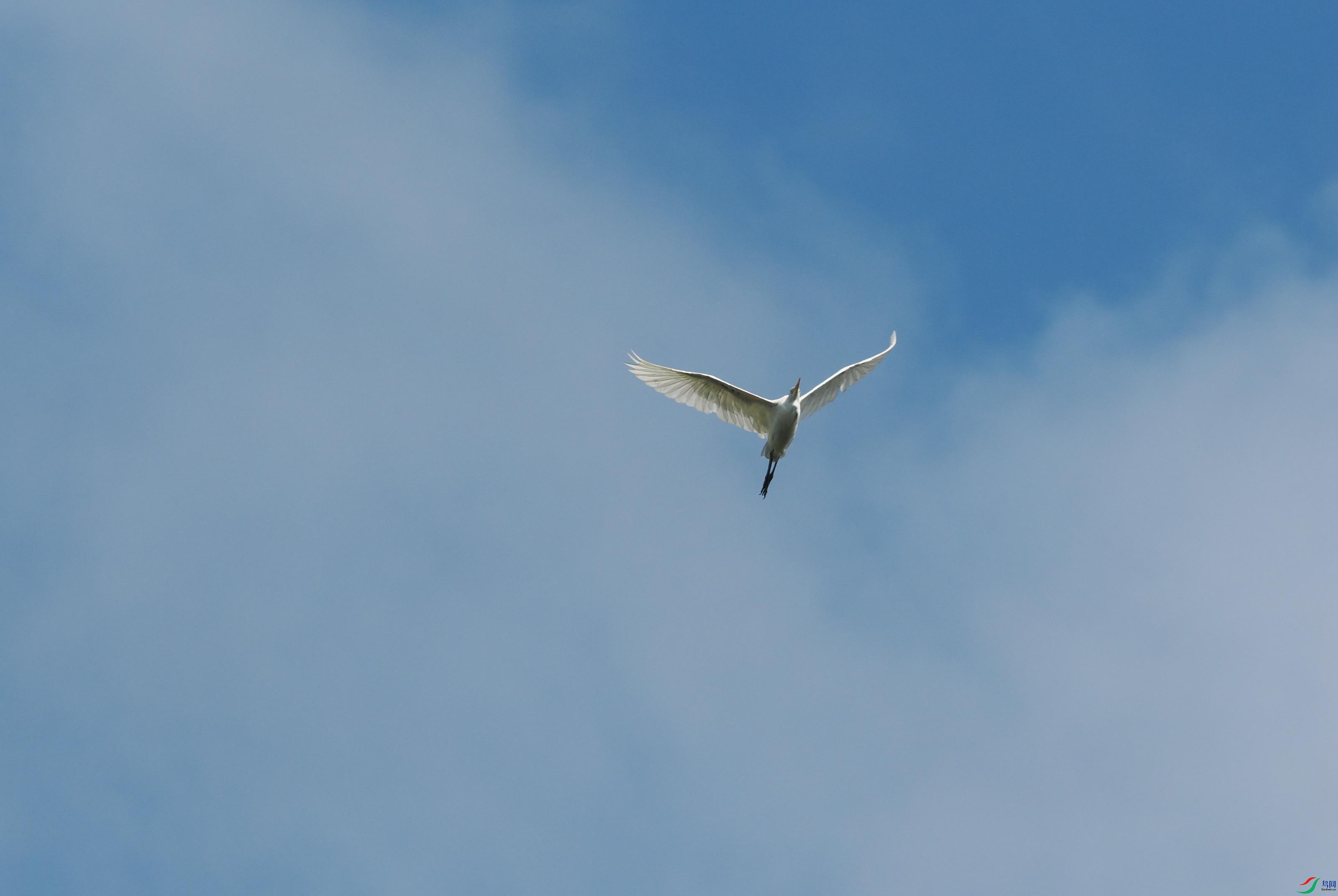 P6260360(1).jpg