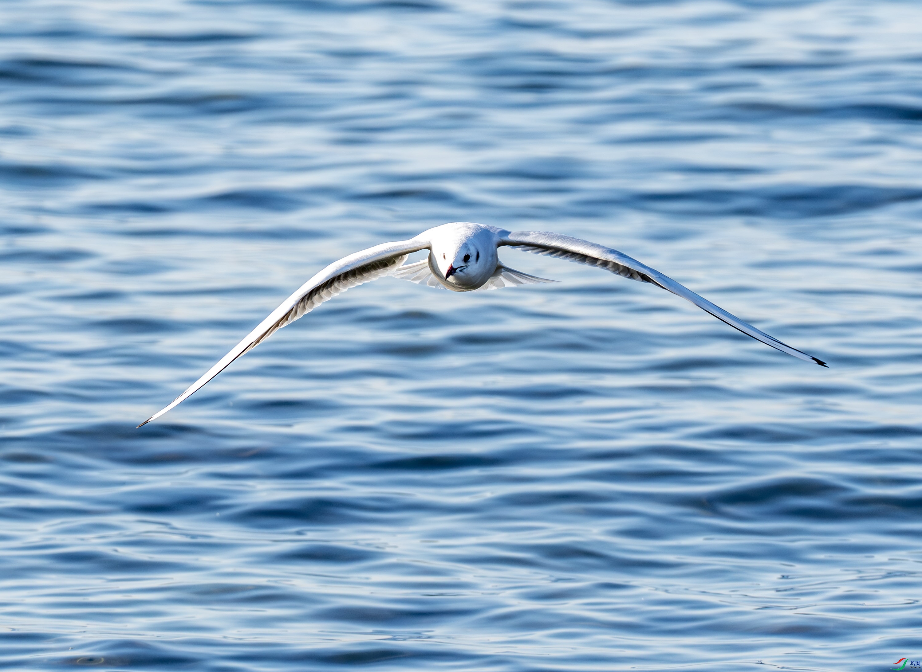 ����Ÿ-01 (5 - 5)-2.jpg