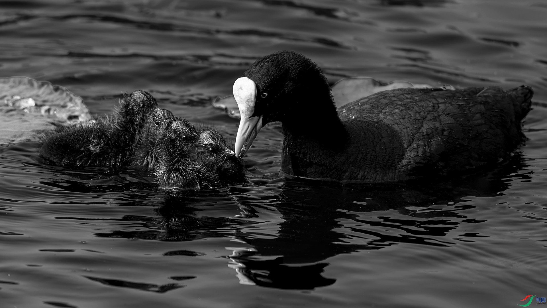 DSC_1838-9.jpg
