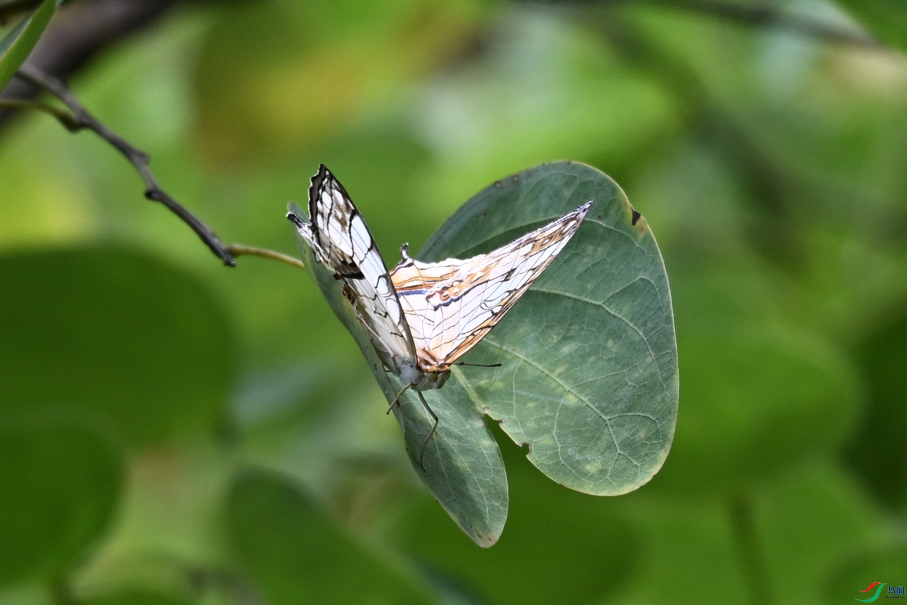 DSC_2277.JPG