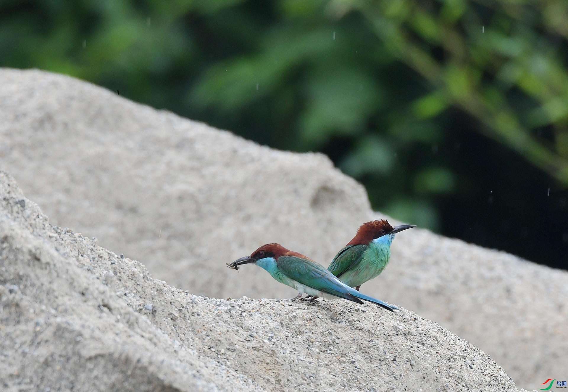 DSC_0764.jpg