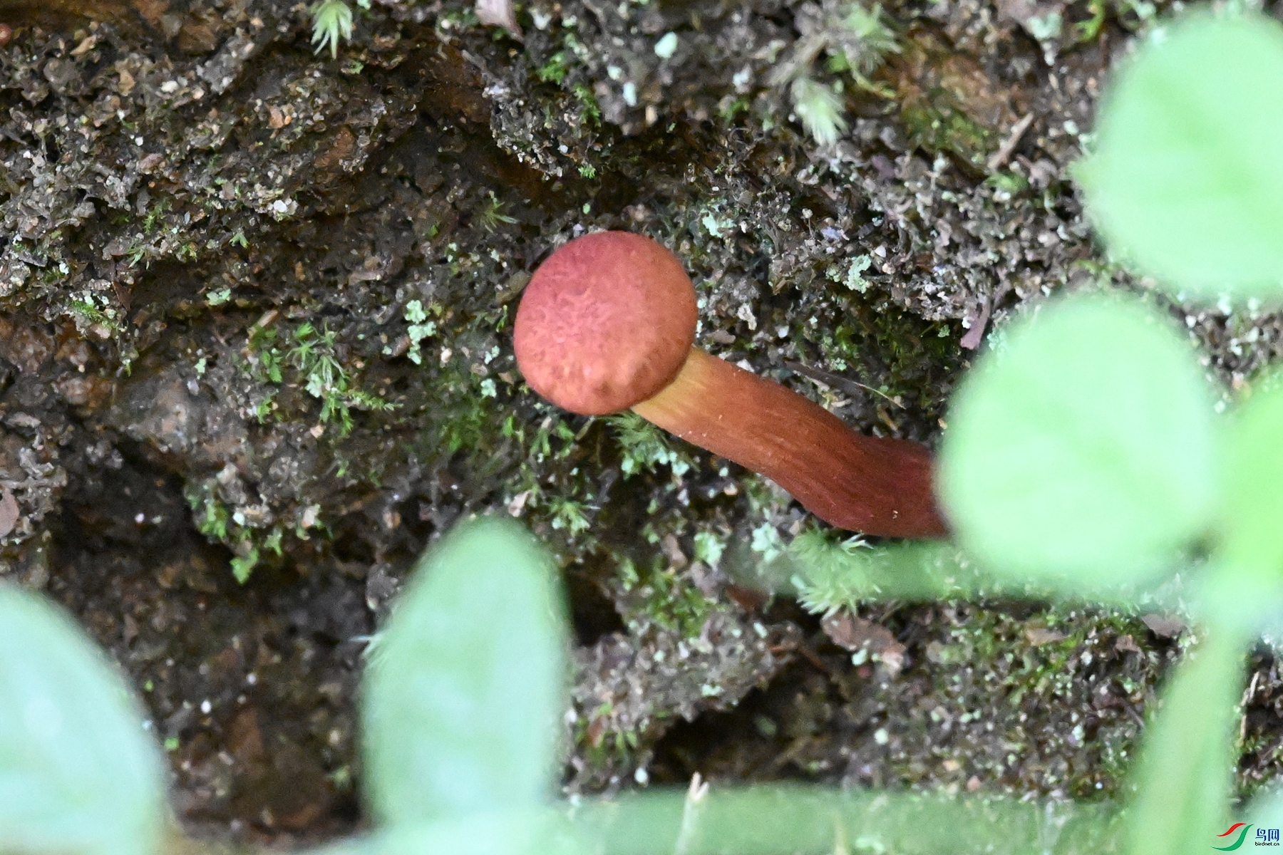 DSC_2306.JPG