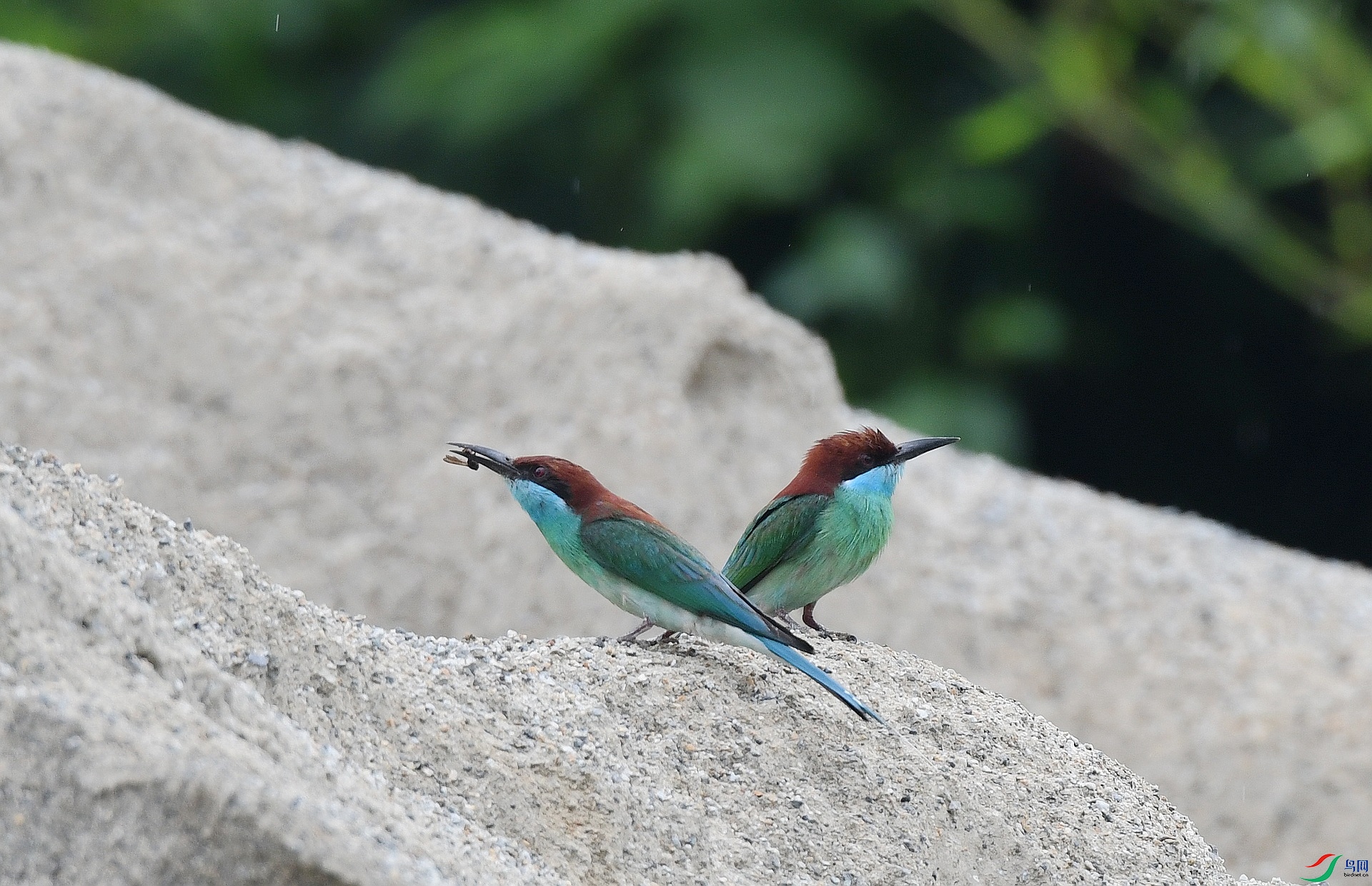 DSC_0767.jpg