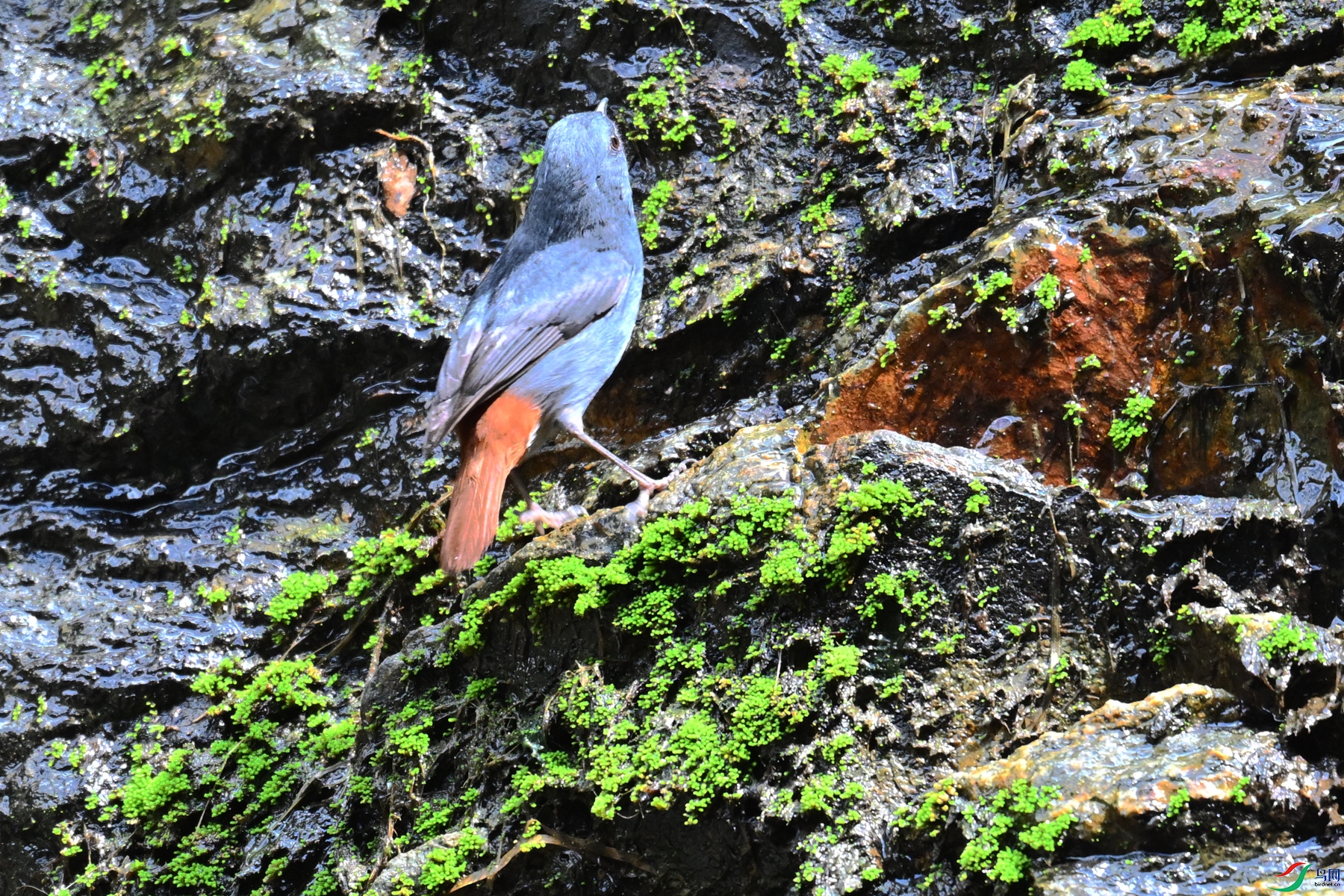 DSC_2252.JPG