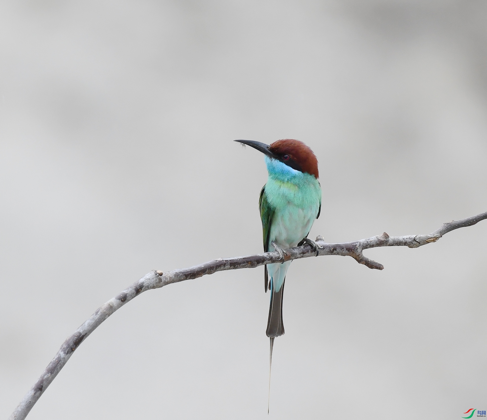 DSC_0778.jpg