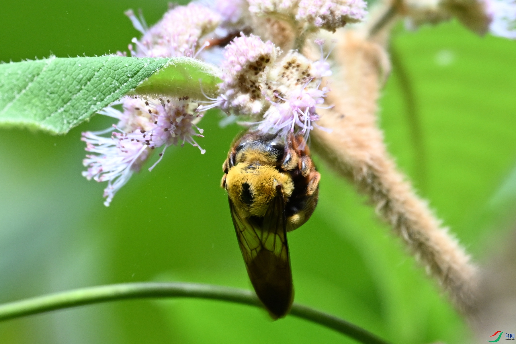 DSC_2292.JPG