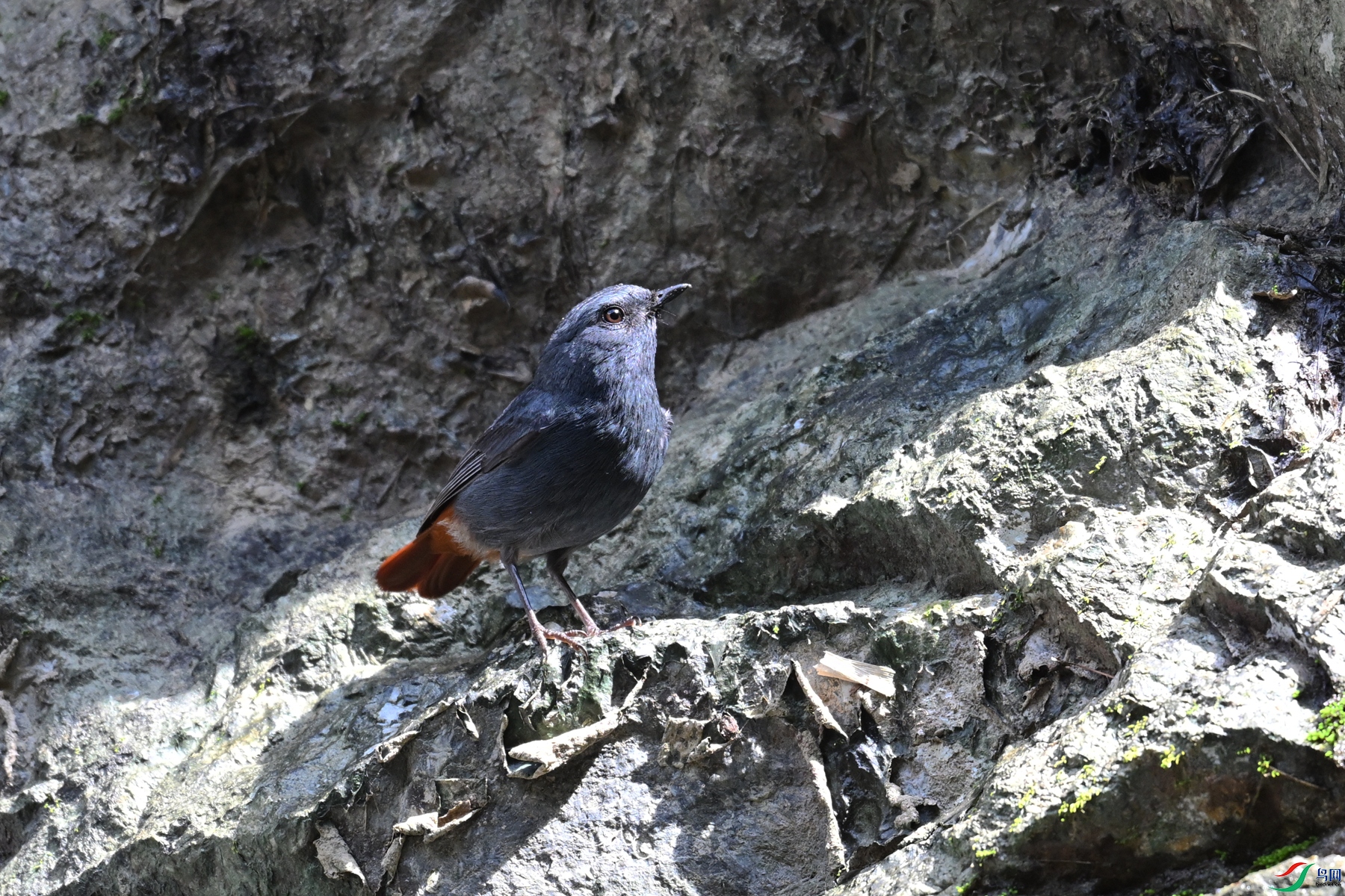 DSC_2238.JPG